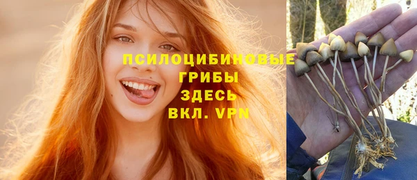 метадон Армянск